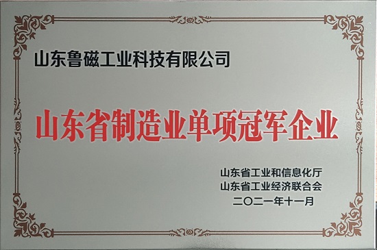喜訊 ！我司榮獲山東省制造業(yè)單項(xiàng)冠軍企業(yè)！??！